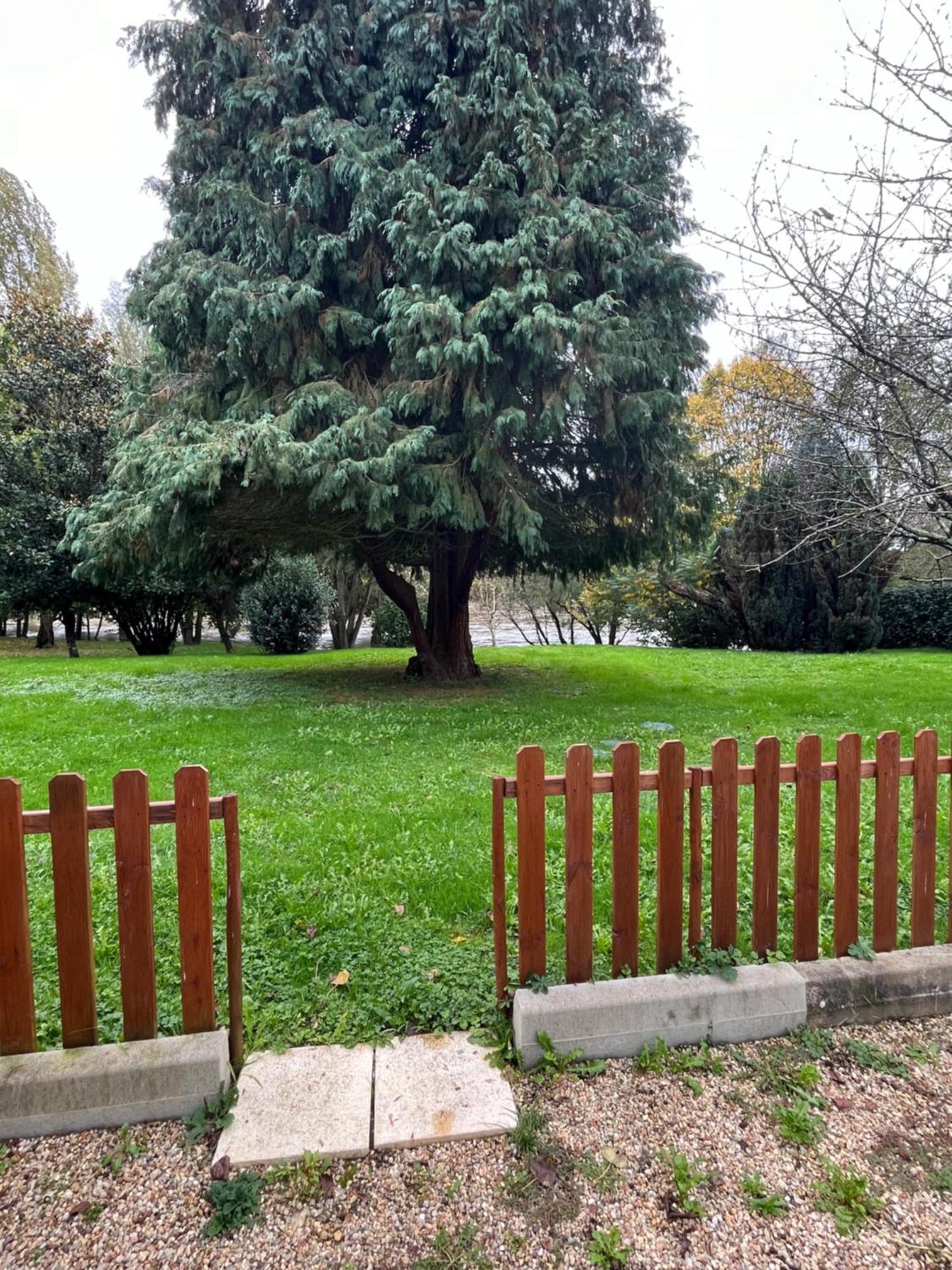 Logement Paisible En Bord De Vienne Bonneuil-Matours Εξωτερικό φωτογραφία